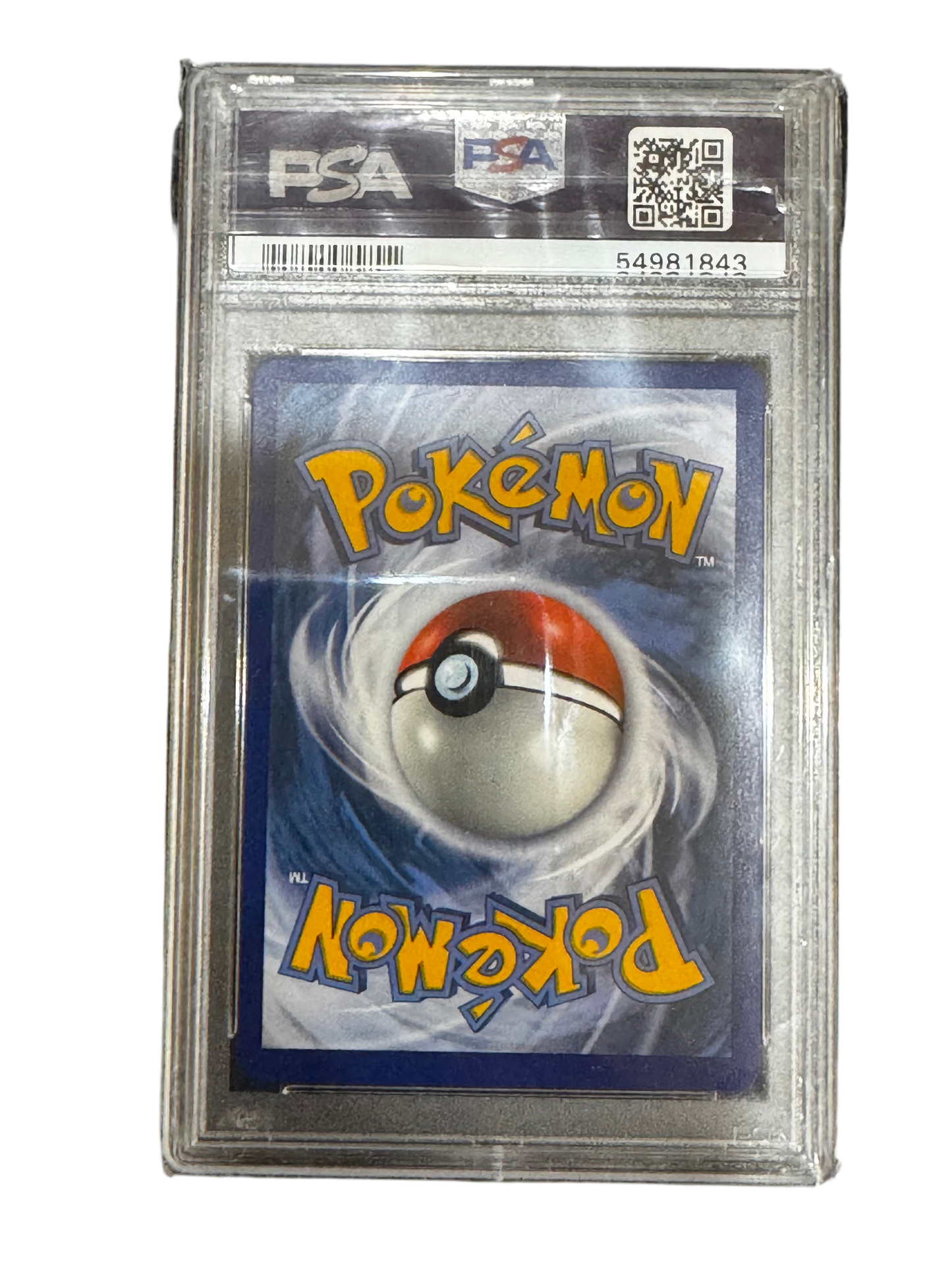 Brooklet Hill Pokemon (2019)