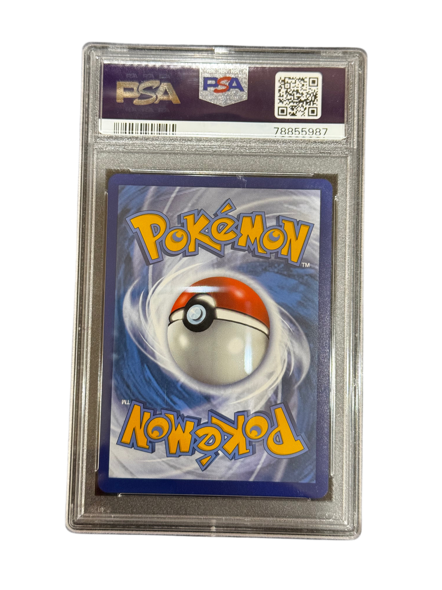 Cynthia’s Ambition Pokemon (2022)