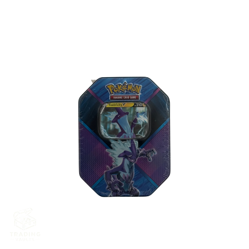 Galar Challengers Tin [Toxtricity V] - Miscellaneous Cards & Products (MCAP)